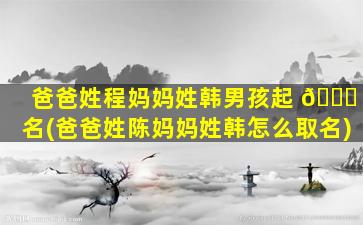 爸爸姓程妈妈姓韩男孩起 🐟 名(爸爸姓陈妈妈姓韩怎么取名)